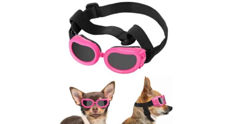 Lewondr Small Dog Sunglasses