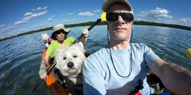 best kayak dog platforms